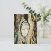 Boeddha kop in de Varkenshouding ... Ayutthaya, Th Briefkaart (Staand voorkant)