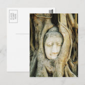 Boeddha kop in de Varkenshouding ... Ayutthaya, Th Briefkaart (Voorkant / Achterkant)