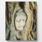 Boeddha kop in de Varkenshouding ... Ayutthaya, Th Fotoplaat (Voorkant)