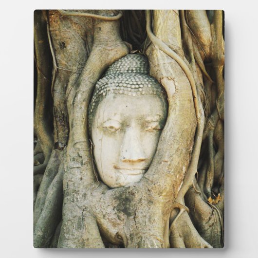 Boeddha kop in de Varkenshouding ... Ayutthaya, Th Fotoplaat (Voorkant)