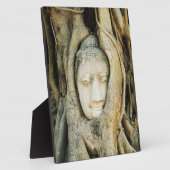 Boeddha kop in de Varkenshouding ... Ayutthaya, Th Fotoplaat (Zijkant)