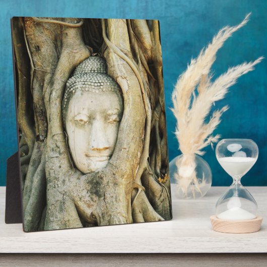 Boeddha kop in de Varkenshouding ... Ayutthaya, Th Fotoplaat (Zijkant)