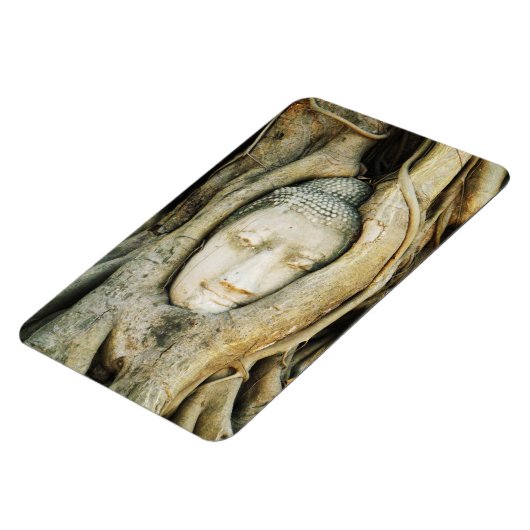 Boeddha kop in de Varkenshouding ... Ayutthaya, Th Magneet (Linkerzijde)