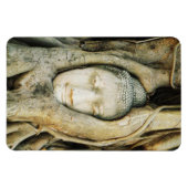 Boeddha kop in de Varkenshouding ... Ayutthaya, Th Magneet (Horizontaal)