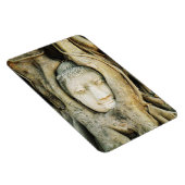 Boeddha kop in de Varkenshouding ... Ayutthaya, Th Magneet (Rechterzijde)