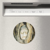 Boeddha kop in de Varkenshouding ... Ayutthaya, Th Magneet (Insitu (Vaatwasser))