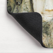 Boeddha kop in de Varkenshouding ... Ayutthaya, Th Muismat (Hoek)