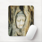 Boeddha kop in de Varkenshouding ... Ayutthaya, Th Muismat (Met muis)