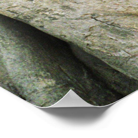 Boeddha kop in de Varkenshouding ... Ayutthaya, Th Poster (Hoek)