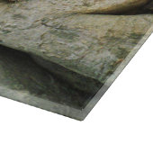 Boeddha kop in de Varkenshouding ... Ayutthaya, Th Snijplank (Hoek)