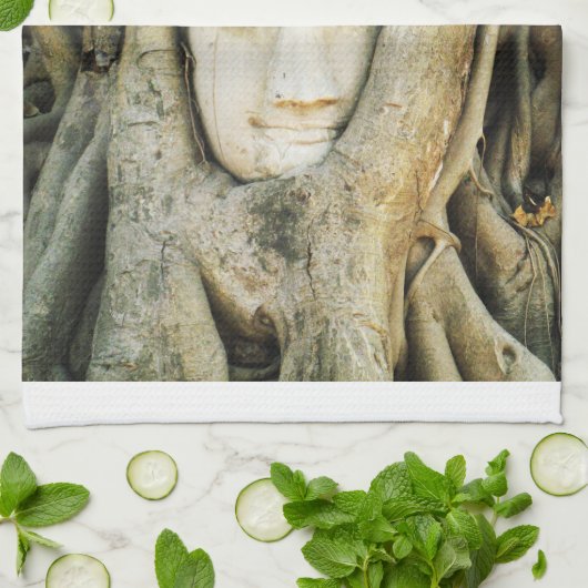 Boeddha kop in de Varkenshouding ... Ayutthaya, Th Theedoek (Gevouwen)