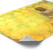 boeddha licht (geel) poster (Hoek)