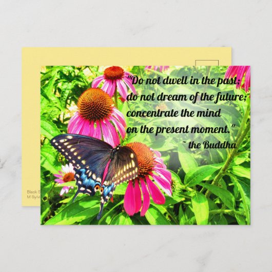 Boeddha Quote Zwarte Swallowtail Vlinderbloemen Briefkaart (Voorkant / Achterkant)