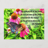 Boeddha Quote Zwarte Swallowtail Vlinderbloemen Briefkaart (Voorkant)