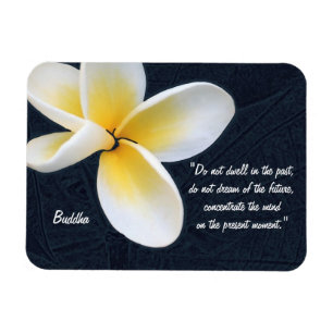 Boeddha Quotes & Fragipani flower / kunstmeditatie Magneet