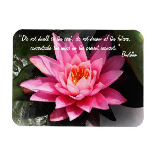 Boeddha Quotes & Lotus Flower / Natuur Meditation Magneet