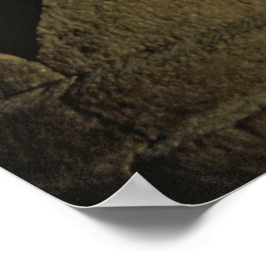 Boeddha Statue, Stupas en Volcano, Borobudur Poster (Hoek)