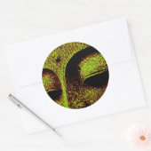 BOEDDHA STICKER (Envelop)