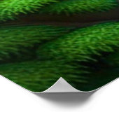 Boeddha waterval poster (Hoek)