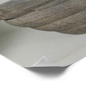 Boeddha zit in meditatie op de Naga, Angkor Poster (Hoek)