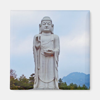 Boeddhabeeld in Zuid-Korea, Azië Magneet