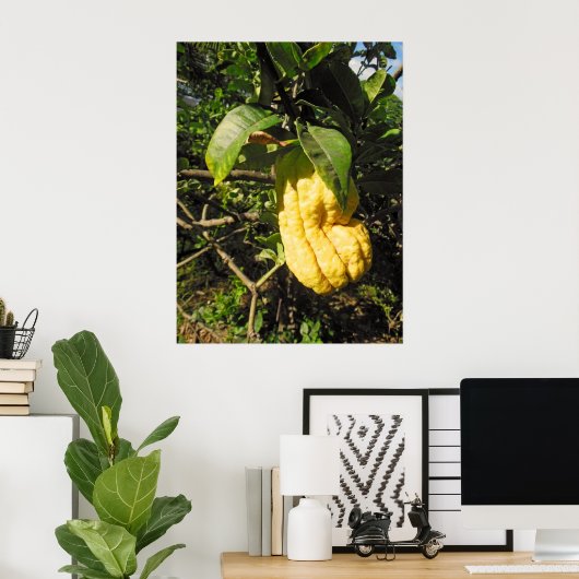 Boeddha's Hand Citron Poster (Thuiskantoor)