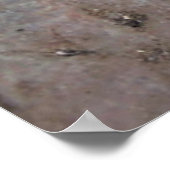 Boeddhas voetafdruk Tibet Poster (Hoek)