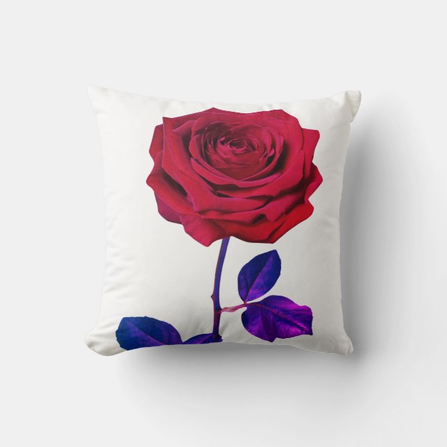 BoeddhaVandaag V1 #44 Vredeskussen 🌹 + Quote Kussen (Voorkant)