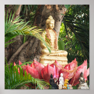 boeddhisme , boeddha , standbeeld , godsdienst , g poster