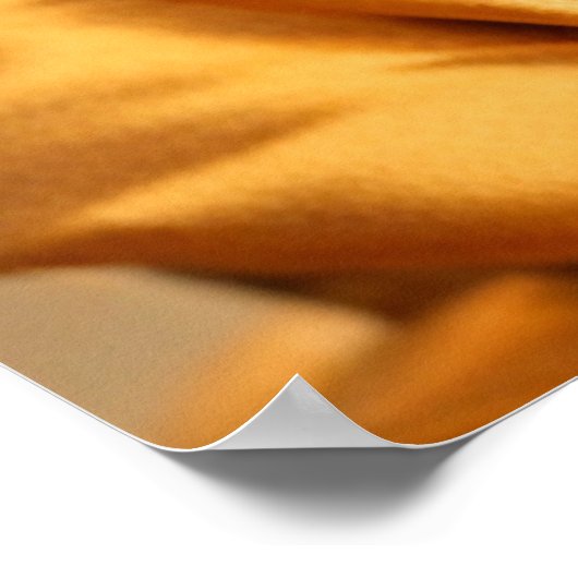 Boeddhist Chihuahua Poster (Hoek)