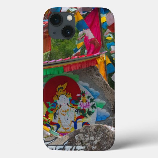 Boeddhistisch schilderen op Rocks Case-Mate iPhone Case (Achterkant)