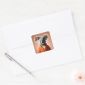 Boeddhistische Koala Vierkante Sticker (Envelop)