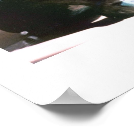 boeddhistische lion poster (Hoek)