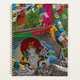 Boeddhistische rotsschildering planner
