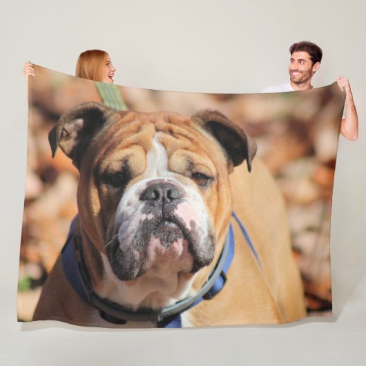 Boeddy bulldog fleece deken (In situ)