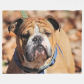 Boeddy bulldog fleece deken (Voorkant (Horizontaal))