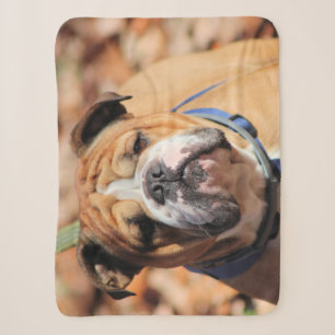 Boeddy bulldog sherpa deken