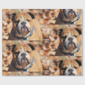 Boeddy Bulldog Wrapping Paper Cadeaupapier (Vlak)
