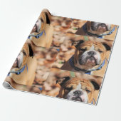 Boeddy Bulldog Wrapping Paper Cadeaupapier (Uitgerold)