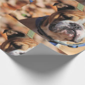 Boeddy Bulldog Wrapping Paper Cadeaupapier (Hoek)