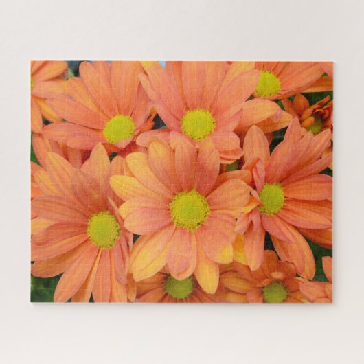 Boedel van mooie Oranje bloemen Legpuzzel (Horizontaal)