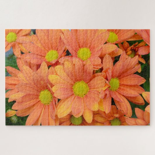 Boedel van mooie Oranje bloemen Legpuzzel (Horizontaal)