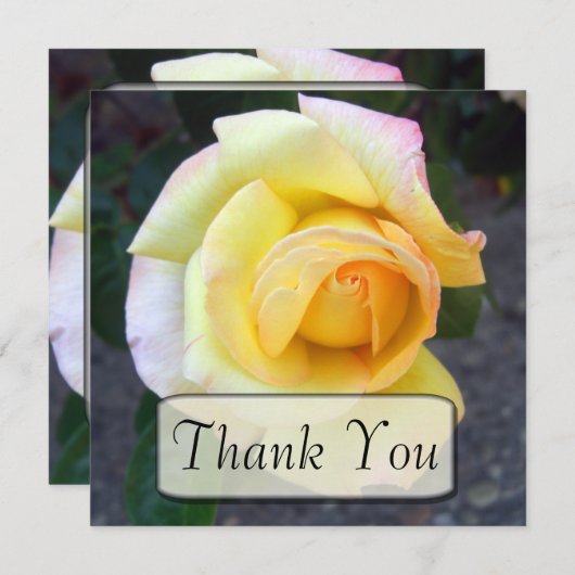 Boedende Gele Rose Dank je kaarten (Voorkant / Achterkant)