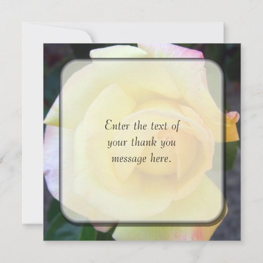 Boedende Gele Rose Dank je kaarten (Achterkant)