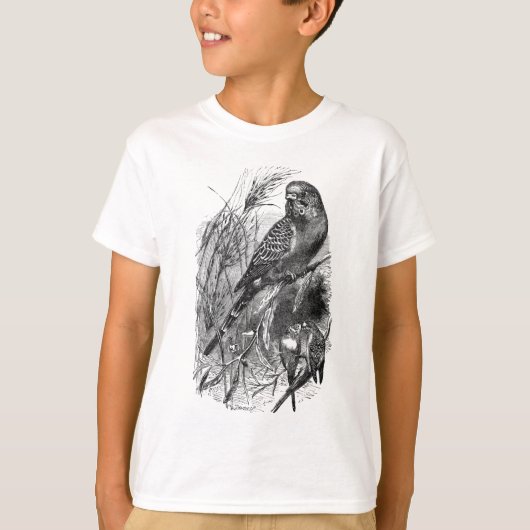 Boedgerigar (boedgie, parkiet) t-shirt (Voorkant)