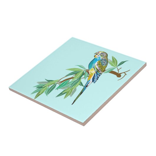 boedgerigar tegeltje (Zijkant)