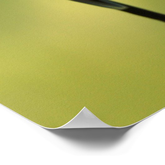 Boedgerigars op een touw poster (Hoek)