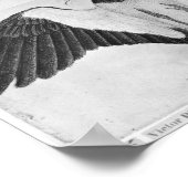 Boedgerigars uit het Album van de Vallardi Poster (Hoek)