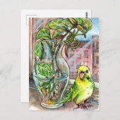 Boedgie door het raam briefkaart (Voorkant / Achterkant)