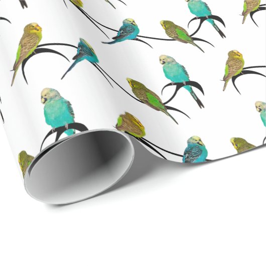 Boedgie Frenzy Wrapping Paper (kies kleur) Cadeaupapier (Rol Hoek)